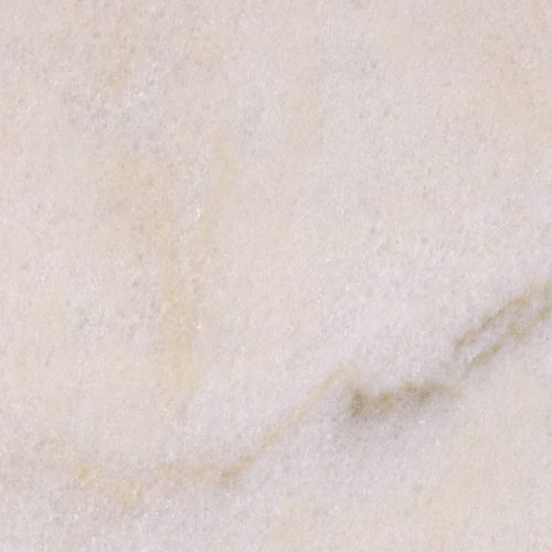 rosa-aurora_2cm