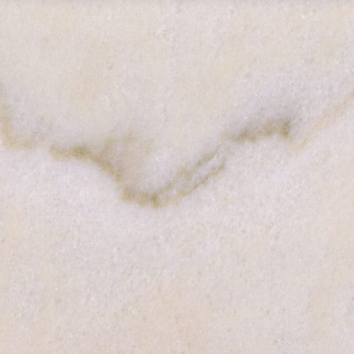 rosa-aurora_3cm