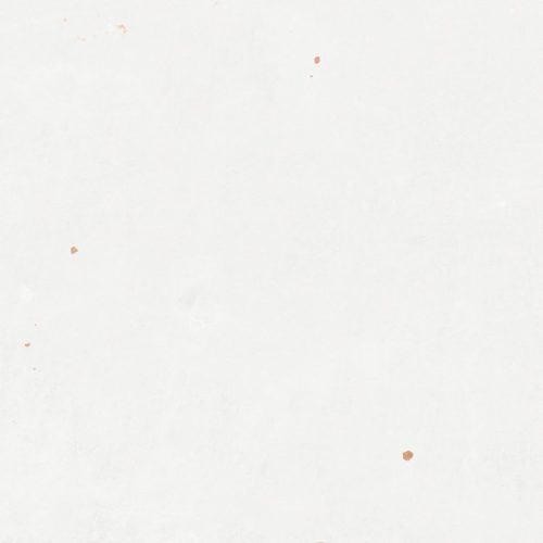 zellige_white_ny1